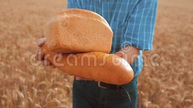 老农夫面包师拿着一个金色的面包和面包在麦田对抗蓝天。 慢动作视频。 <strong>成功成功成功</strong>